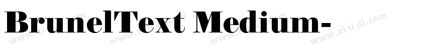 BrunelText Medium字体转换